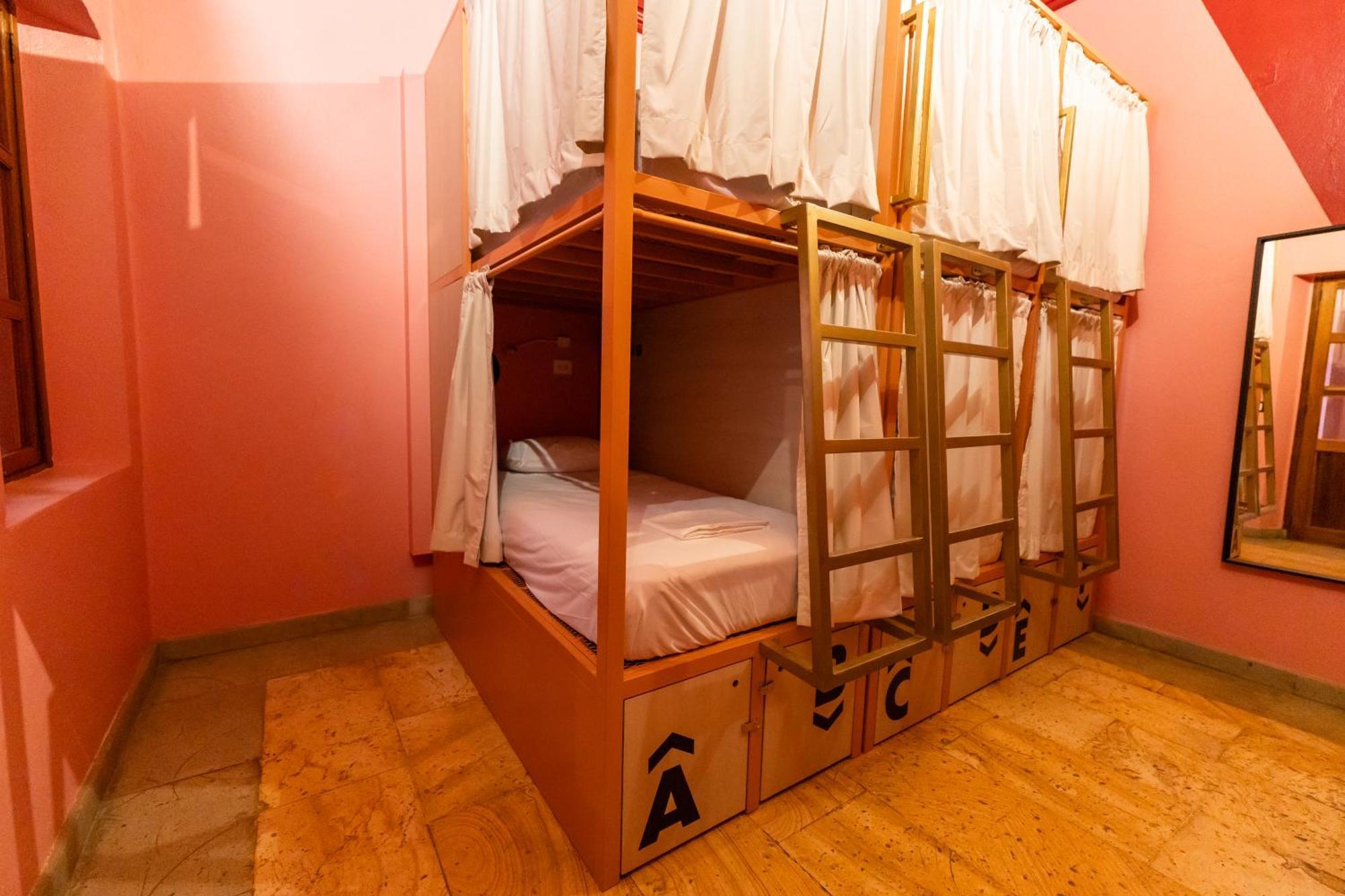 Viajero Oaxaca Hostel 部屋 写真